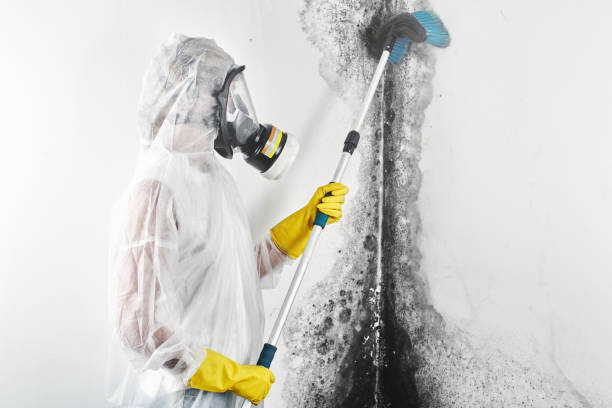 Mold Exposure & Symptoms