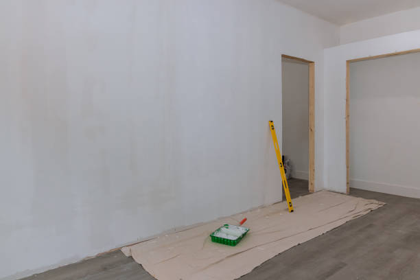 Best Basement Mold Removal  in Kerhonkson, NY